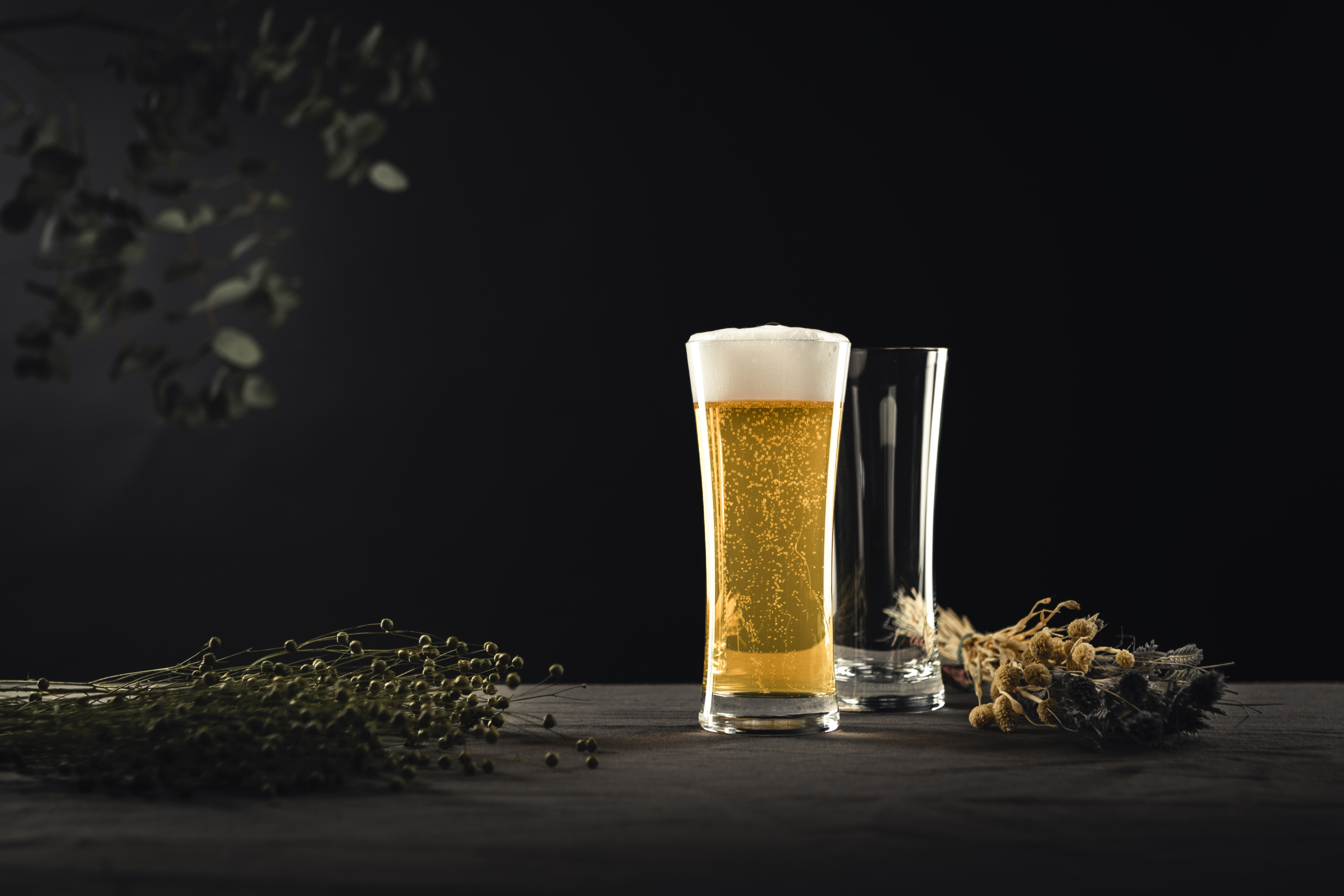 115271_Beer Basic_imp_3